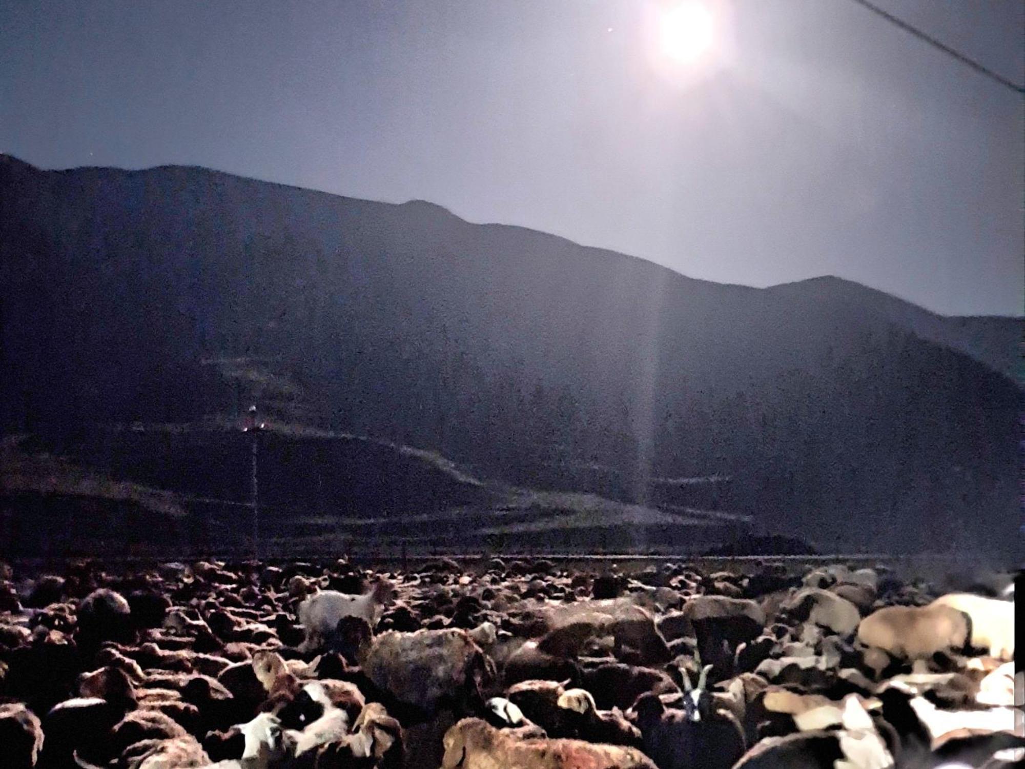 Xinaliq Khinalig Izzet'S Riverside Home Stay Екстер'єр фото